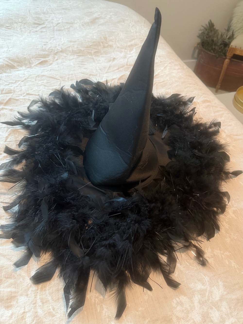 Halloween Black Feather Witch Hat Costume